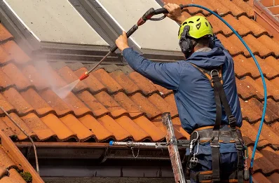 Démoussage et hydrofuge de toiture à Trémouille